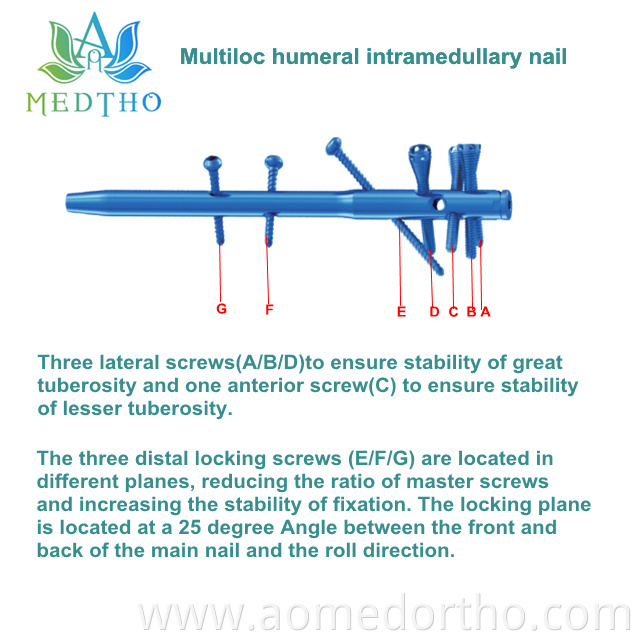multiloc intramedullary nail